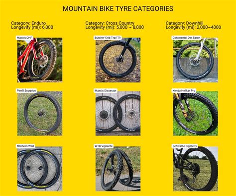 How to Change a Mountain Bike Tire: A Comprehensive Guide for Adventure Enthusiasts and Casual Riders Alike, Delving into the Intricacies of Tire Selection for Various Terrains